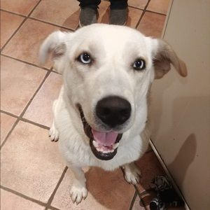 Meet your Posher, Monica